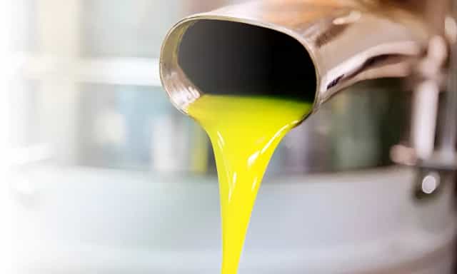 Premium Olive Oil Banner